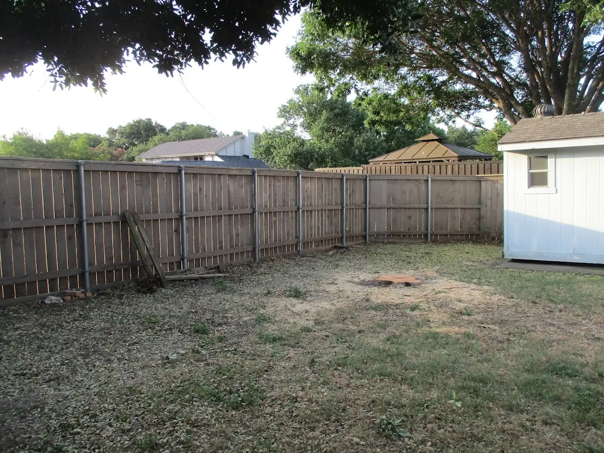Cleared yard after professional tree removal in Stottville